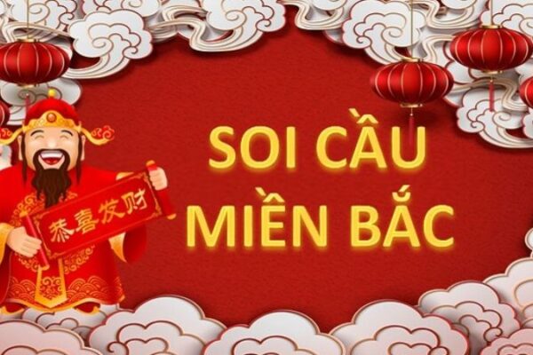 soi cau mien bac